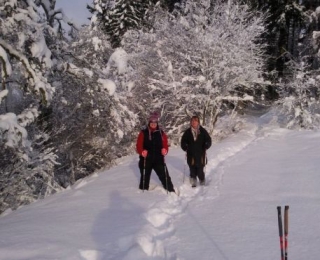  Salga a caminar por la nieve